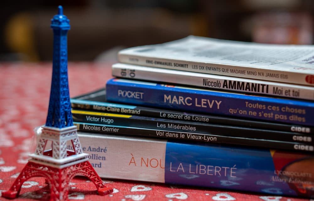 The Best Novels for Learning French at All Levels