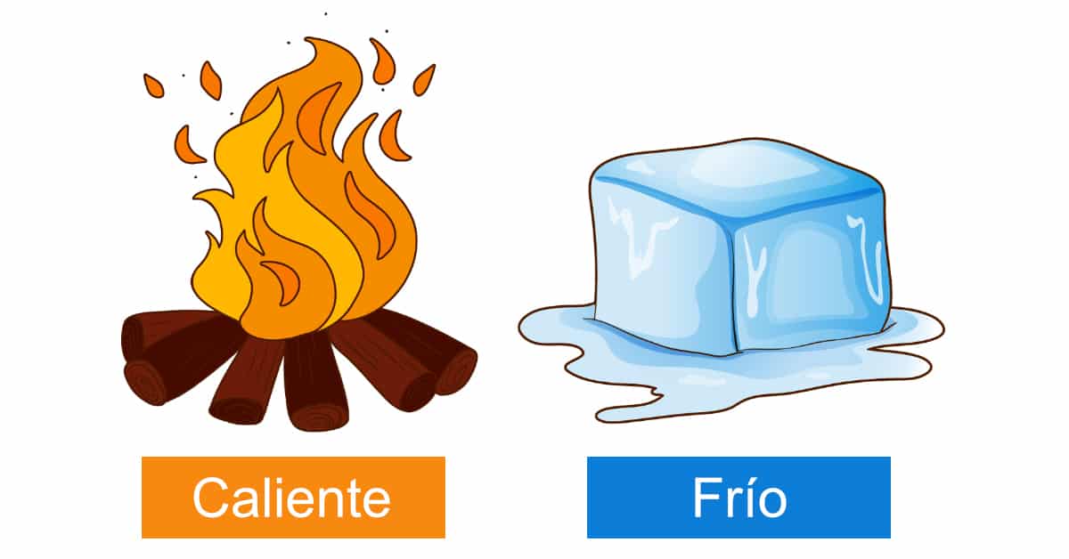 Spanish Synonyms and Antonyms