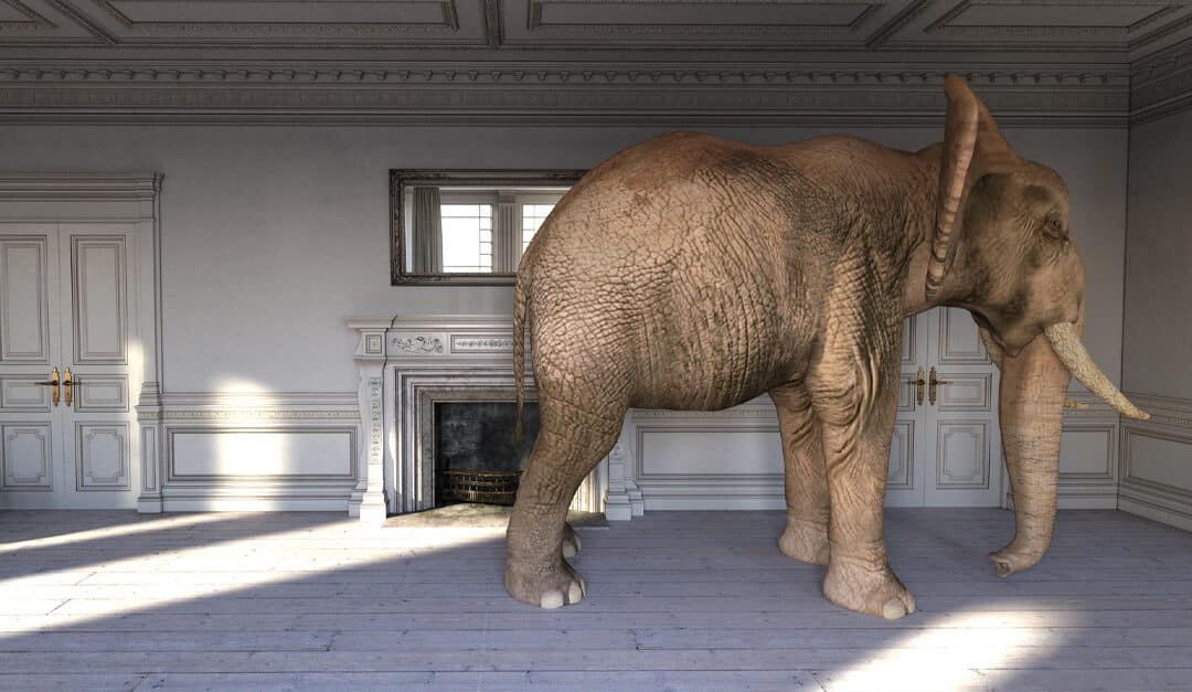 A large elephant inside a living room, illustrating the blog topic of Animal Idioms in 6 Different Languages